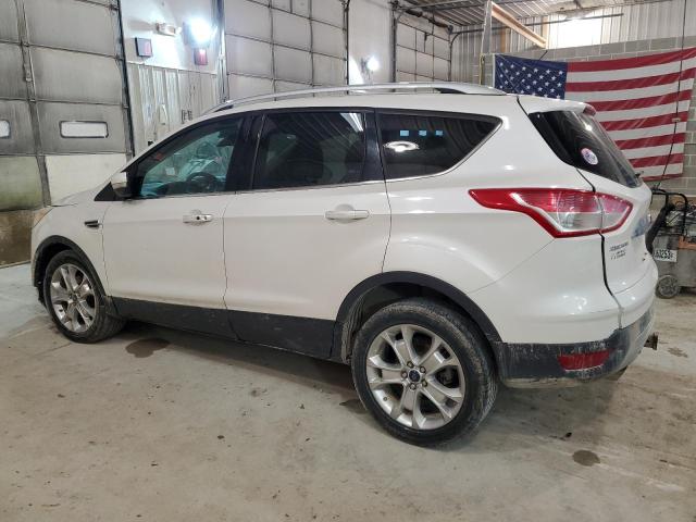 2014 Ford Escape Titanium VIN: 1FMCU0JX7EUA70202 Lot: 41656564