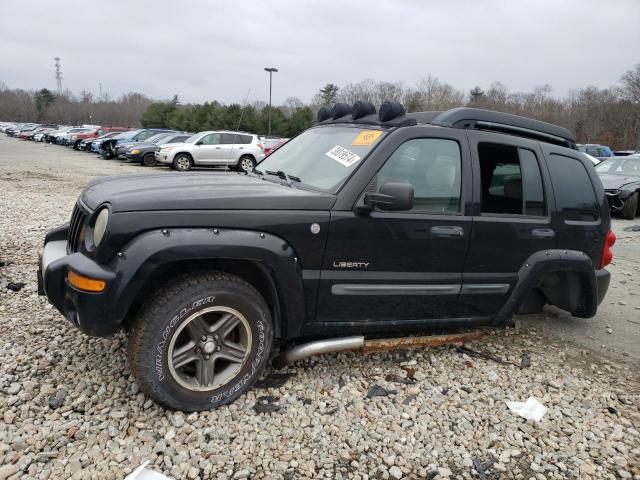 2004 Jeep Liberty Renegade