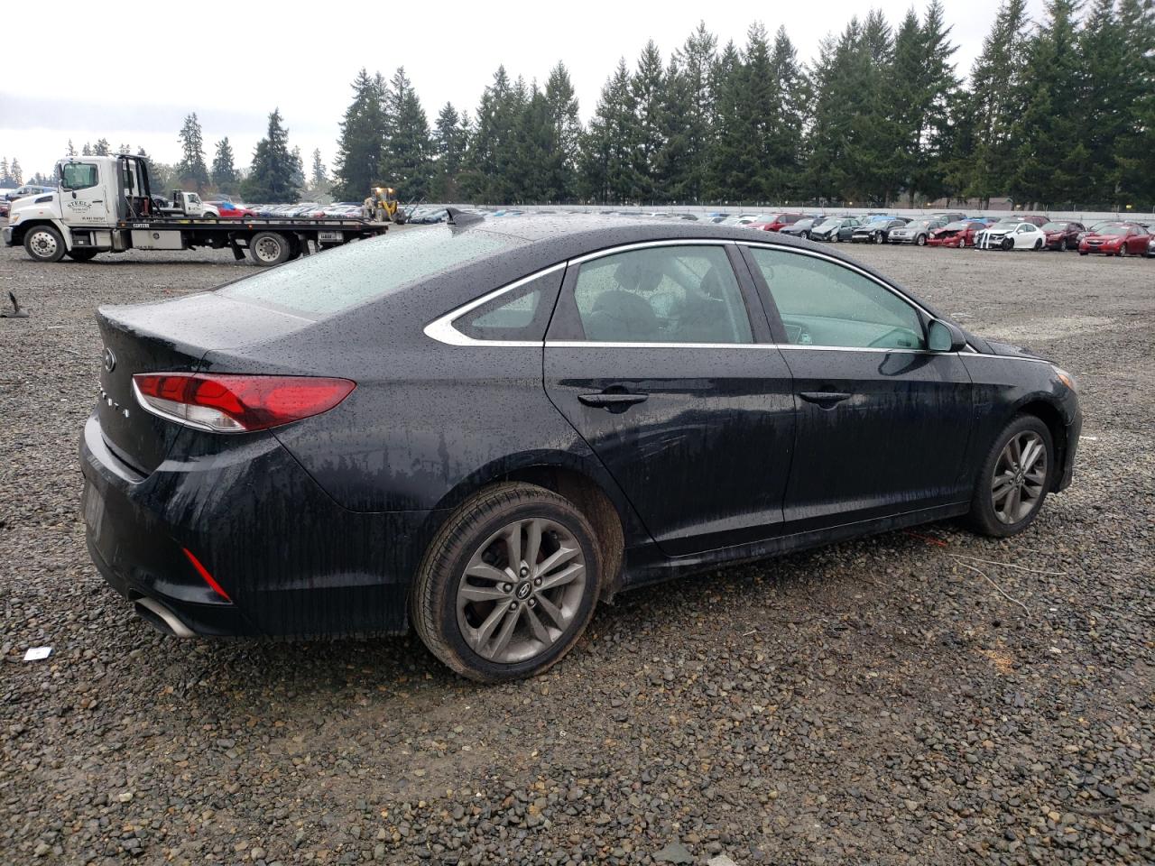 5NPE24AF9KH741036 2019 Hyundai Sonata Se