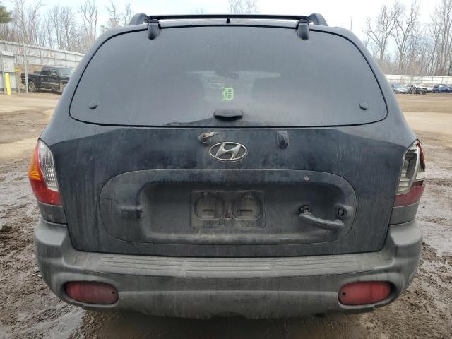 2003 Hyundai Santa Fe Gls VIN: KM8SC73D03U502295 Lot: 43738884