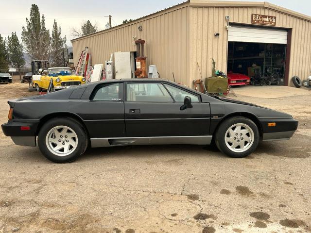 1988 Lotus Esprit Se VIN: SCCFC20AXJHF62367 Lot: 42093934