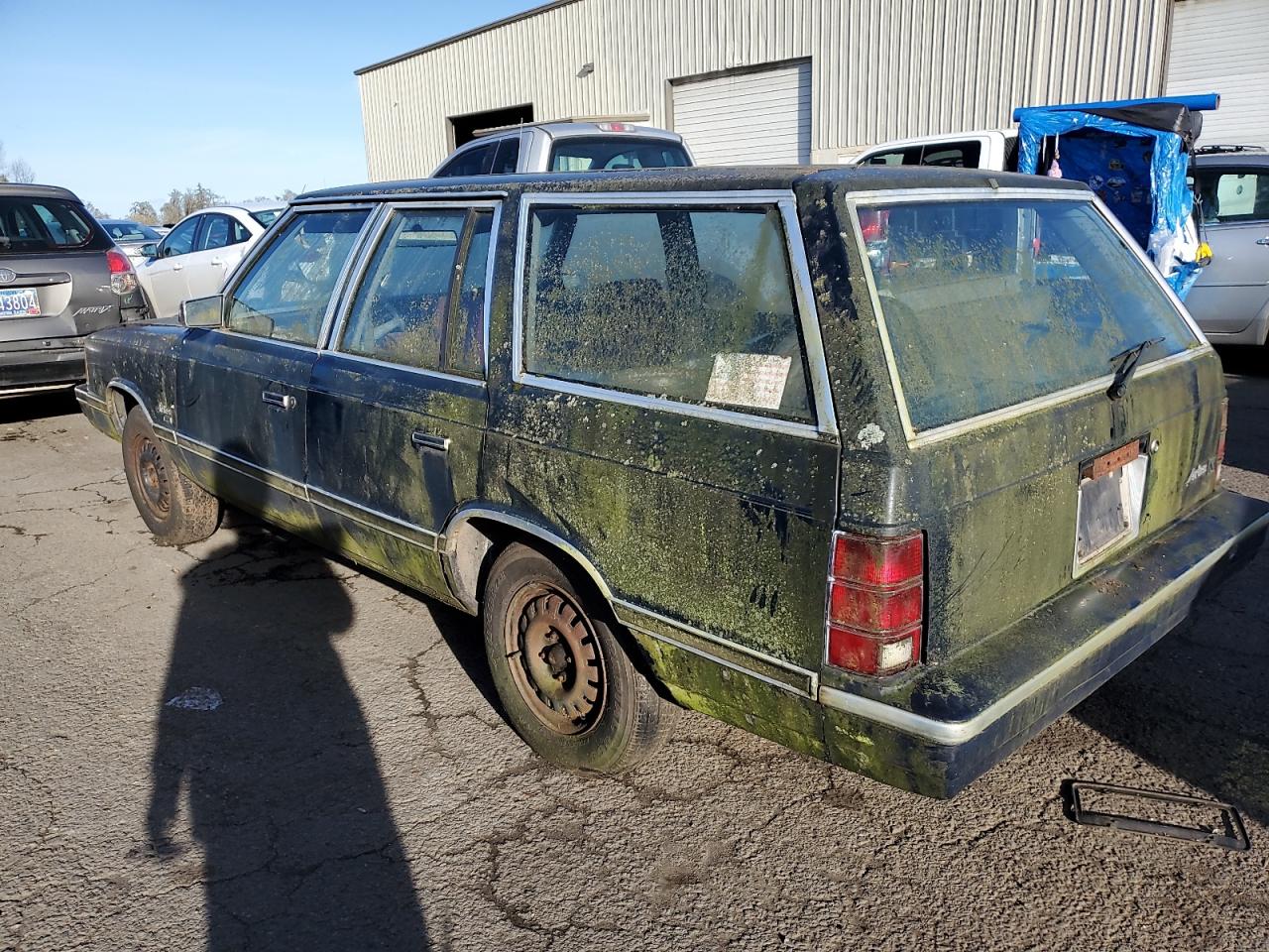 1B3BK49D9BF117786 1981 Dodge Aries Custom