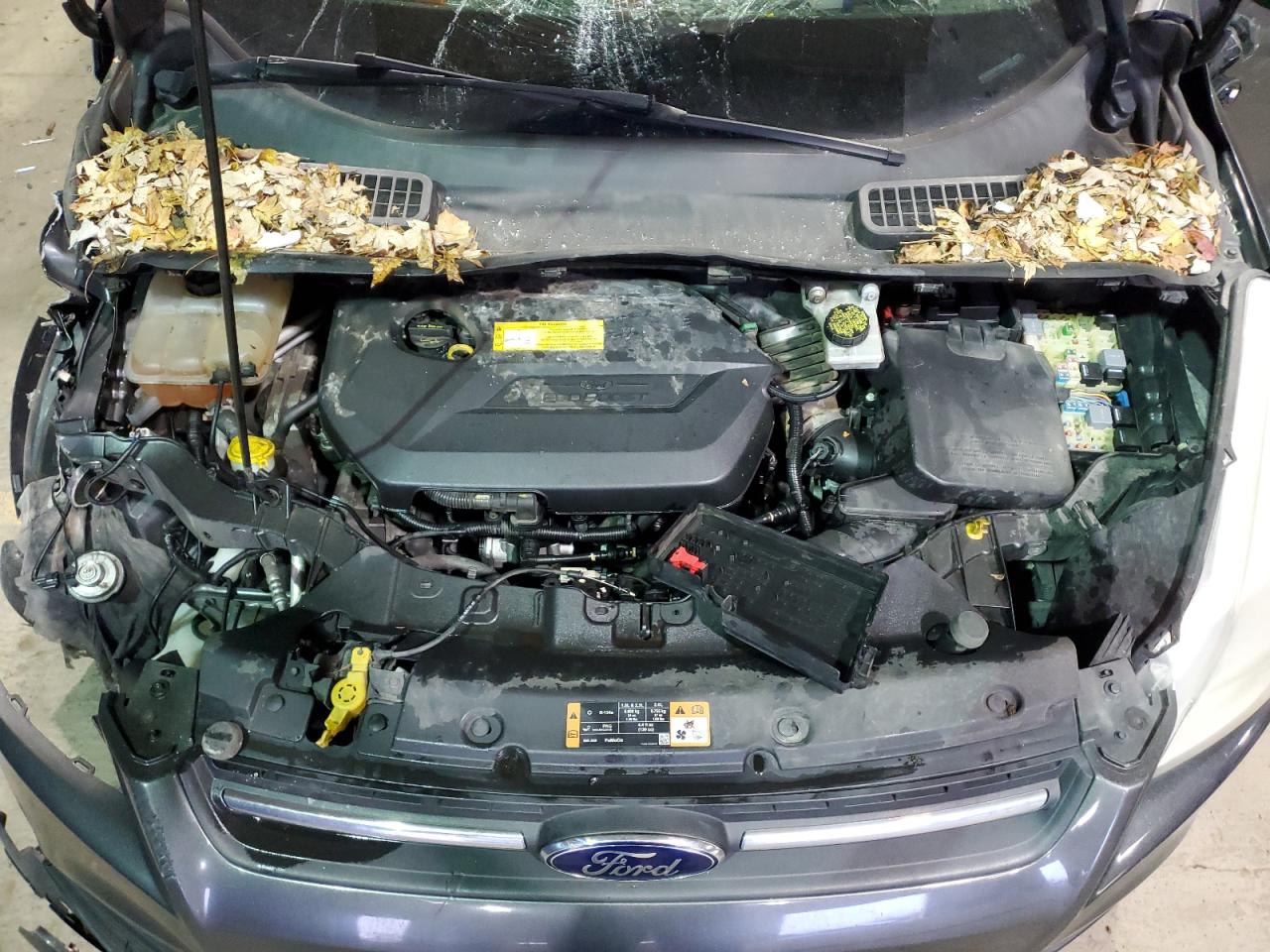 1FMCU0GX1FUA89823 2015 Ford Escape Se