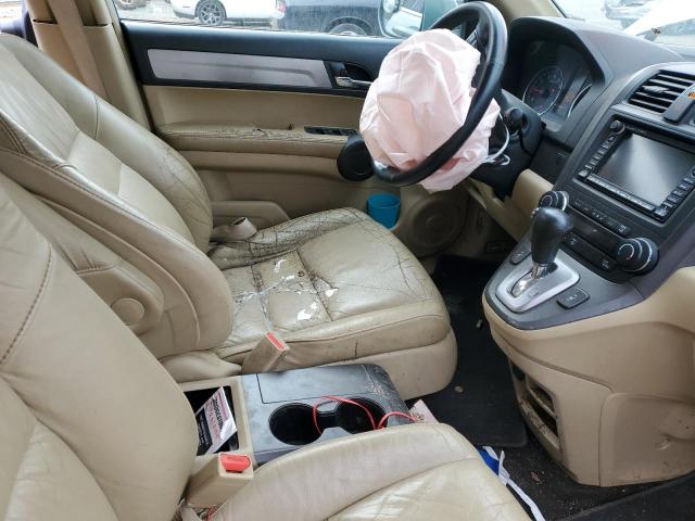 2010 Honda Cr-V Exl VIN: 5J6RE3H72AL039307 Lot: 44974584