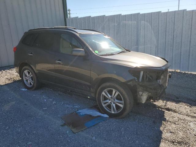 2012 Hyundai Santa Fe Limited VIN: 5XYZKDAG2CG120174 Lot: 43152344