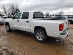 Lot #2404163179 2011 DODGE DAKOTA SLT