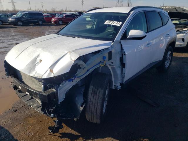 Lot #2344126904 2024 HYUNDAI TUCSON SEL salvage car