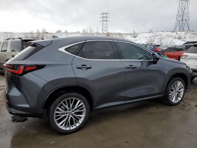 2024 LEXUS NX 350 LUX 2T2HGCEZ3RC033452