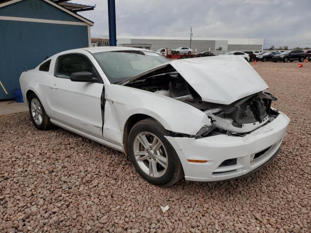 2014 Ford Mustang VIN: 1ZVBP8AM5E5285113 Lot: 40631694