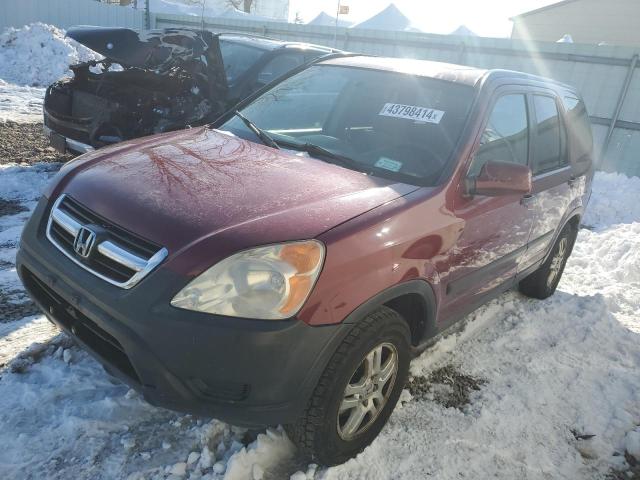 2004 Honda Cr-V Ex VIN: SHSRD78894U244194 Lot: 43798414