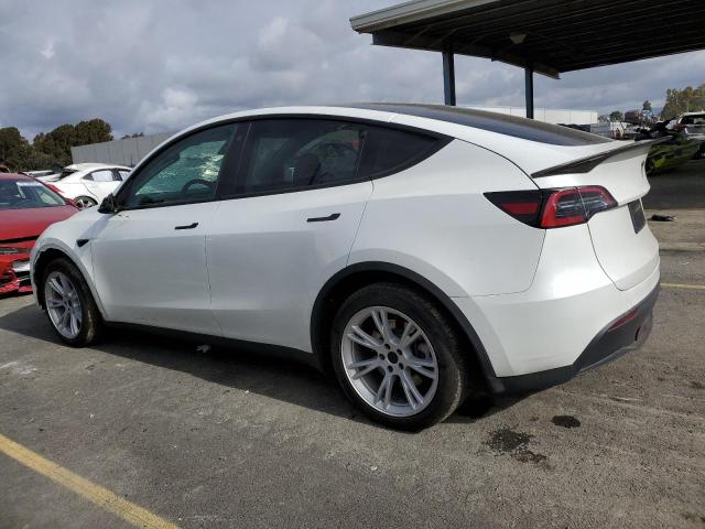2023 TESLA MODEL Y 7SAYGDEE7PF738354