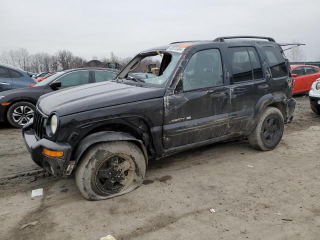 2002 Jeep Liberty Limited