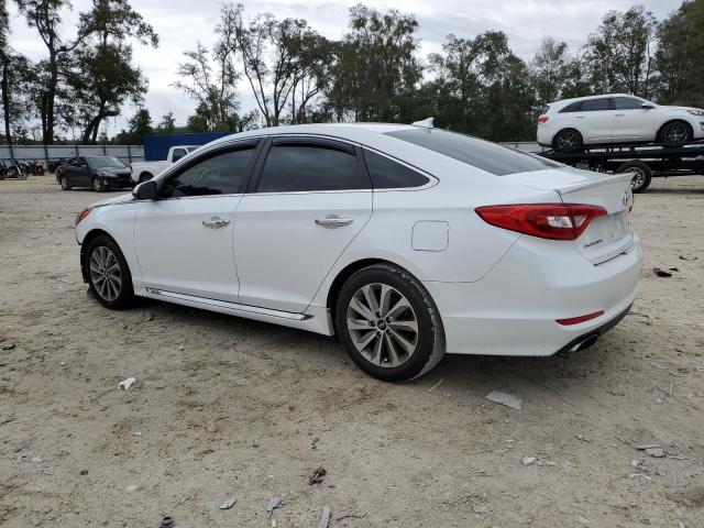 2016 HYUNDAI SONATA SPO - 5NPE34AF4GH316358