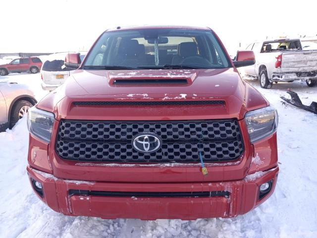2019 TOYOTA TUNDRA CRE - 5TFDY5F18KX832459