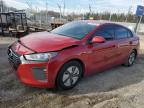 2019 HYUNDAI IONIQ BLUE - KMHC65LC6KU171597