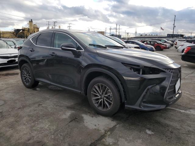2024 LEXUS NX 250 BAS 2T2ADCAZ8RC012886