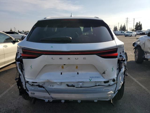 2024 LEXUS NX 250 BAS 2T2ADCAZ5RC009895