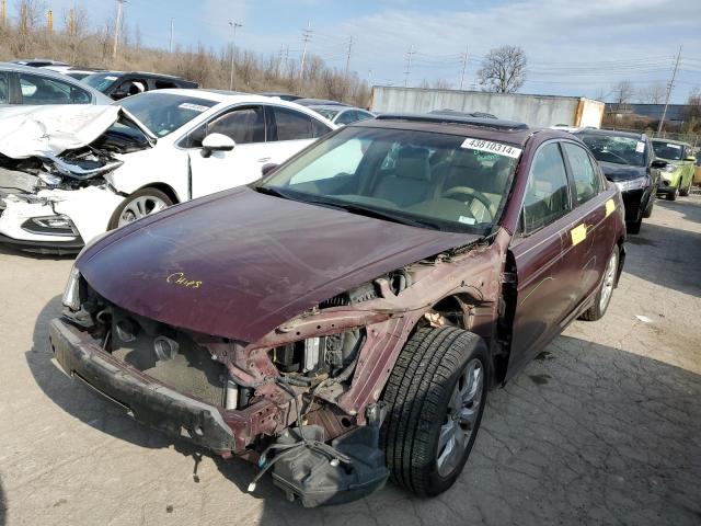 2009 HONDA ACCORD EX 1HGCP26729A045314  43810314