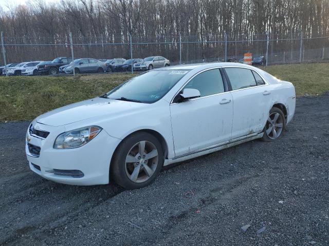 Vin: 1g1zc5e1xbf145293, lot: 37351104, chevrolet malibu 1lt 2011 img_1
