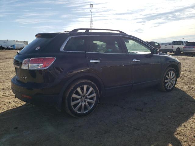 2007 Mazda Cx-9 VIN: JM3TB28Y370120079 Lot: 42052714