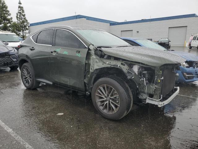 2024 LEXUS NX 250 BAS 2T2ADCAZ2RC009885
