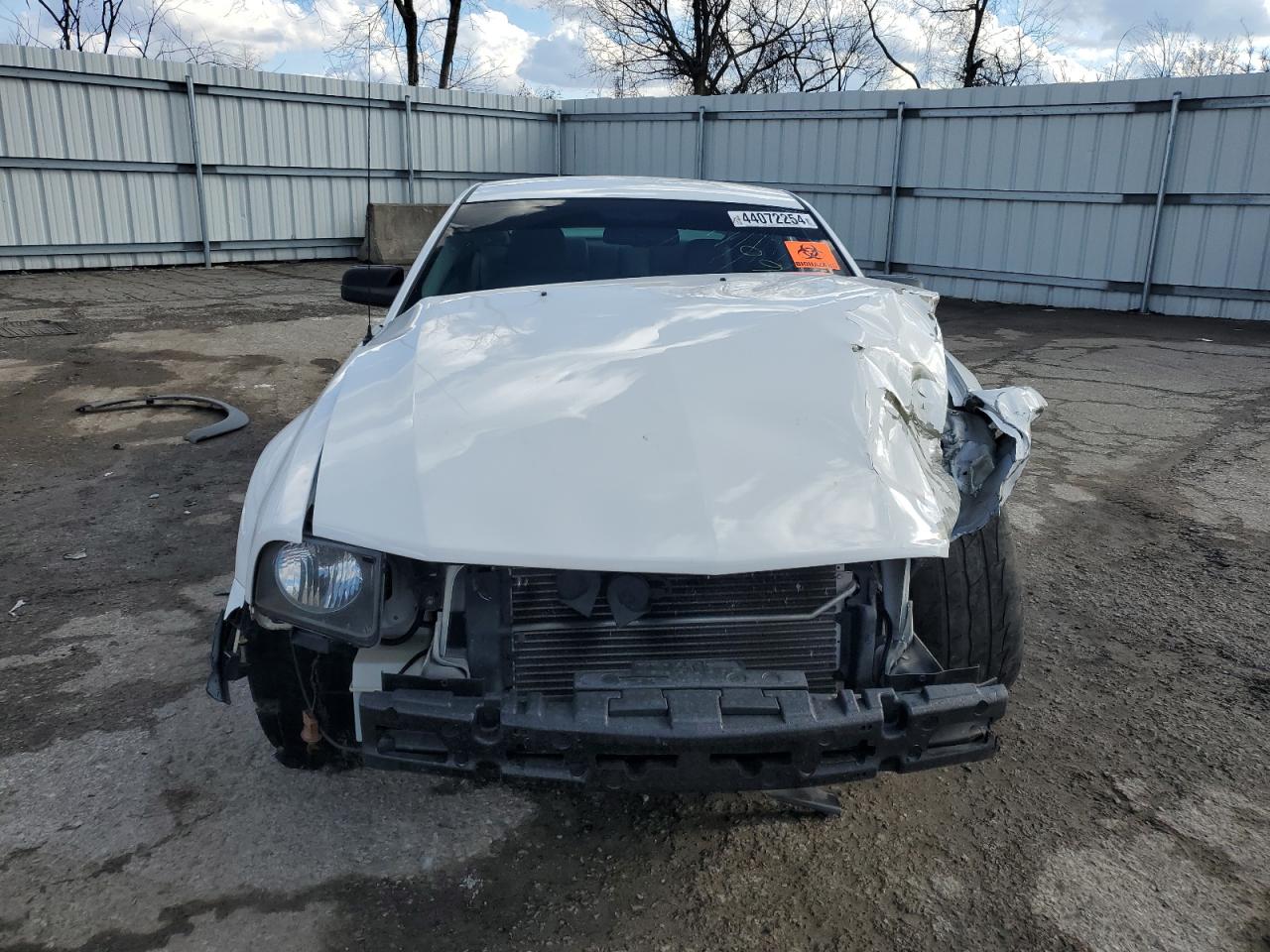 1ZVFT82H675204654 2007 Ford Mustang Gt