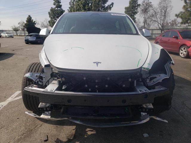 2023 TESLA MODEL Y 7SAYGDEE4PA036943