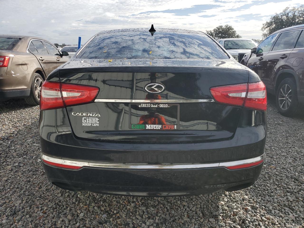 KNALN4D71E5156360 2014 Kia Cadenza Premium