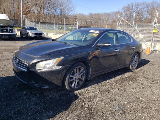 2011 Nissan Maxima 3.5 Sv VIN: 1N4AA5AP3BC831882 Lot: 40828472