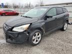 2016 FORD ESCAPE SE - 1FMCU0G99GUA40484