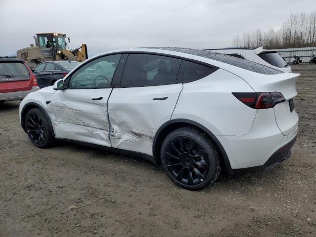 2023 TESLA MODEL Y 7SAYGDEE1PF648679