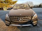 MERCEDES-BENZ ML 350 4MA photo