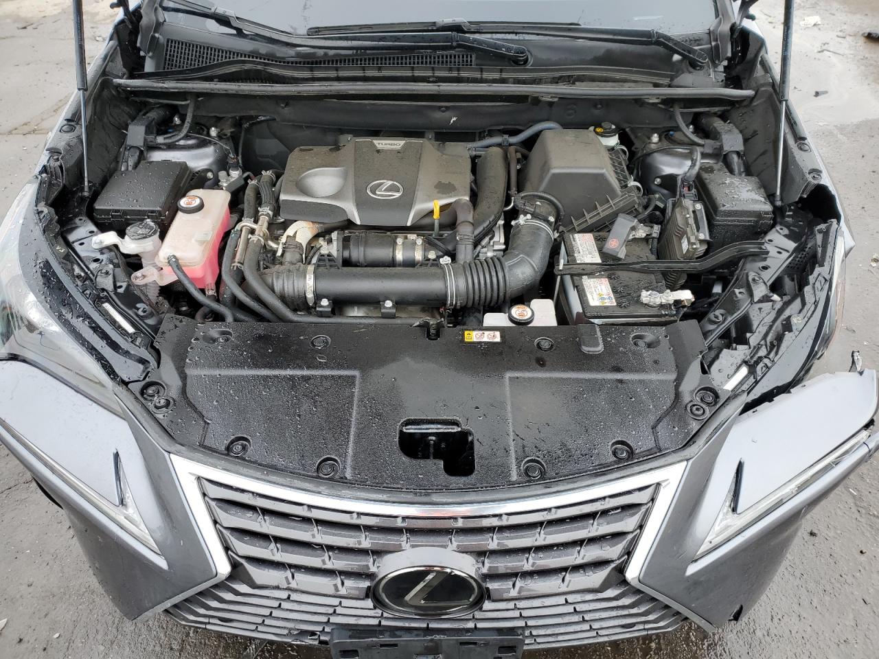 jtjbarbzxk2206226 JTJBARBZXK2206226 2019 Lexus Nx 300 Base