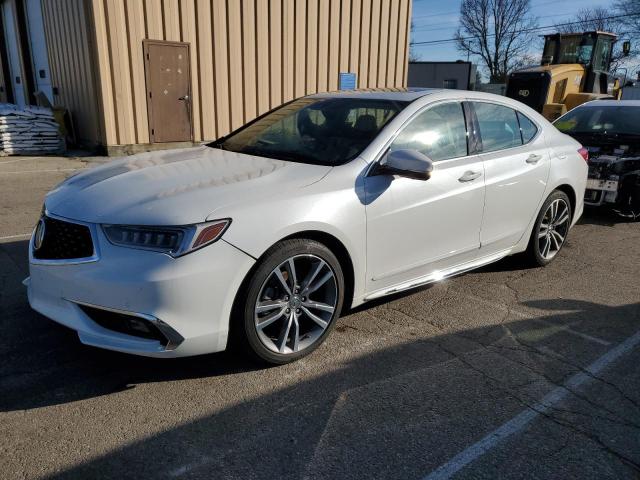 Lot #2442874099 2019 ACURA TLX ADVANC salvage car