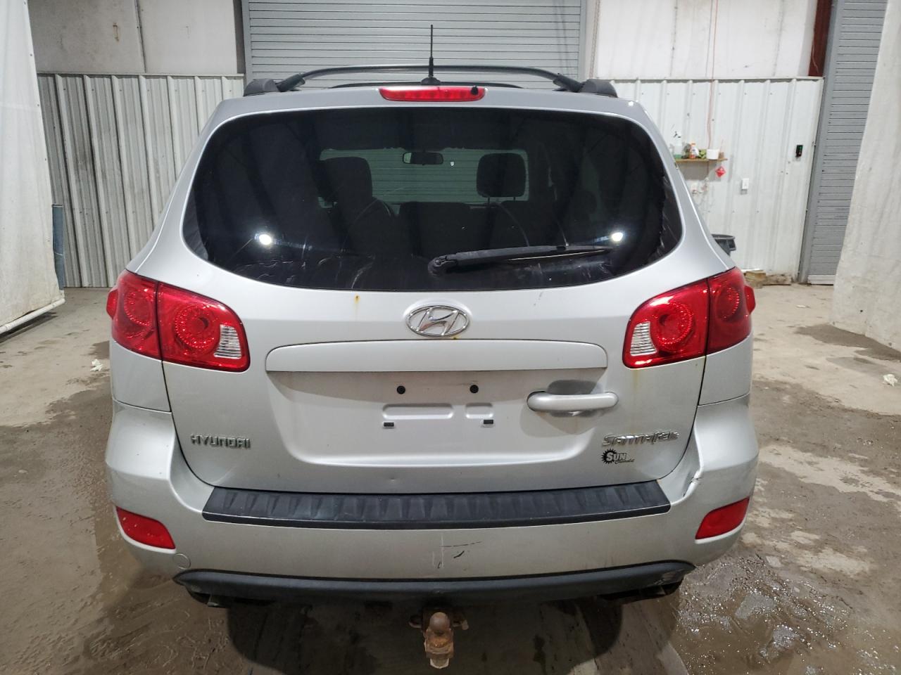 5NMSG13D69H329064 2009 Hyundai Santa Fe Gls