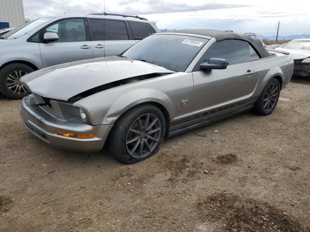 Lot #2536274527 2009 FORD MUSTANG salvage car