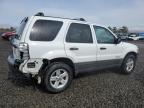 FORD ESCAPE HEV photo