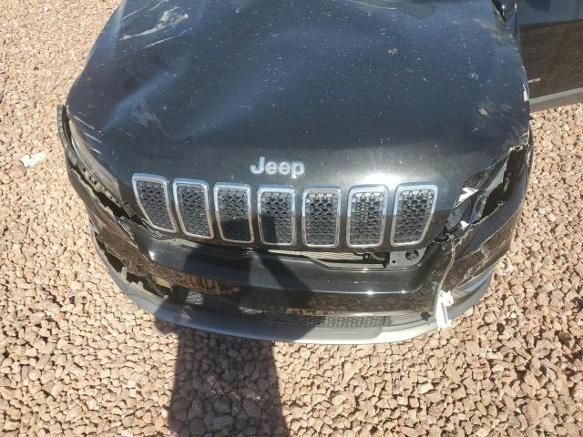 2019 JEEP CHEROKEE L 1C4PJMDN7KD124111