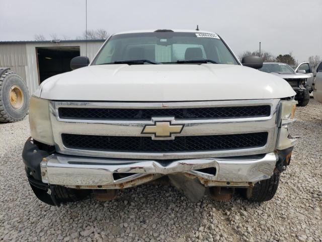 2009 Chevrolet Silverado C1500 VIN: 1GCEC14C09Z209867 Lot: 43862894