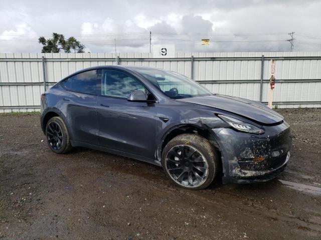 2023 Tesla Model Y VIN: 7SAYGDEE2PF585690 Lot: 42464474