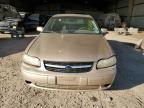 CHEVROLET MALIBU LS photo