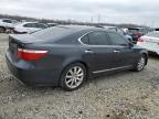 LEXUS LS 460 photo