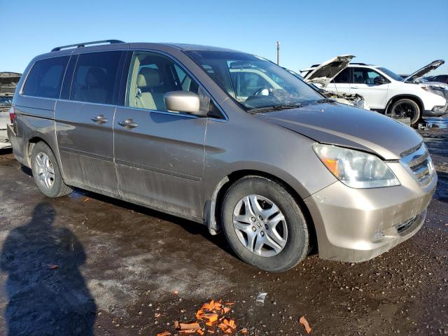 2006 Honda Odyssey Exl VIN: 5FNRL38716B509669 Lot: 41094114