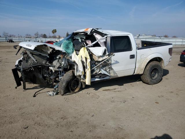 FORD F150 SVT R