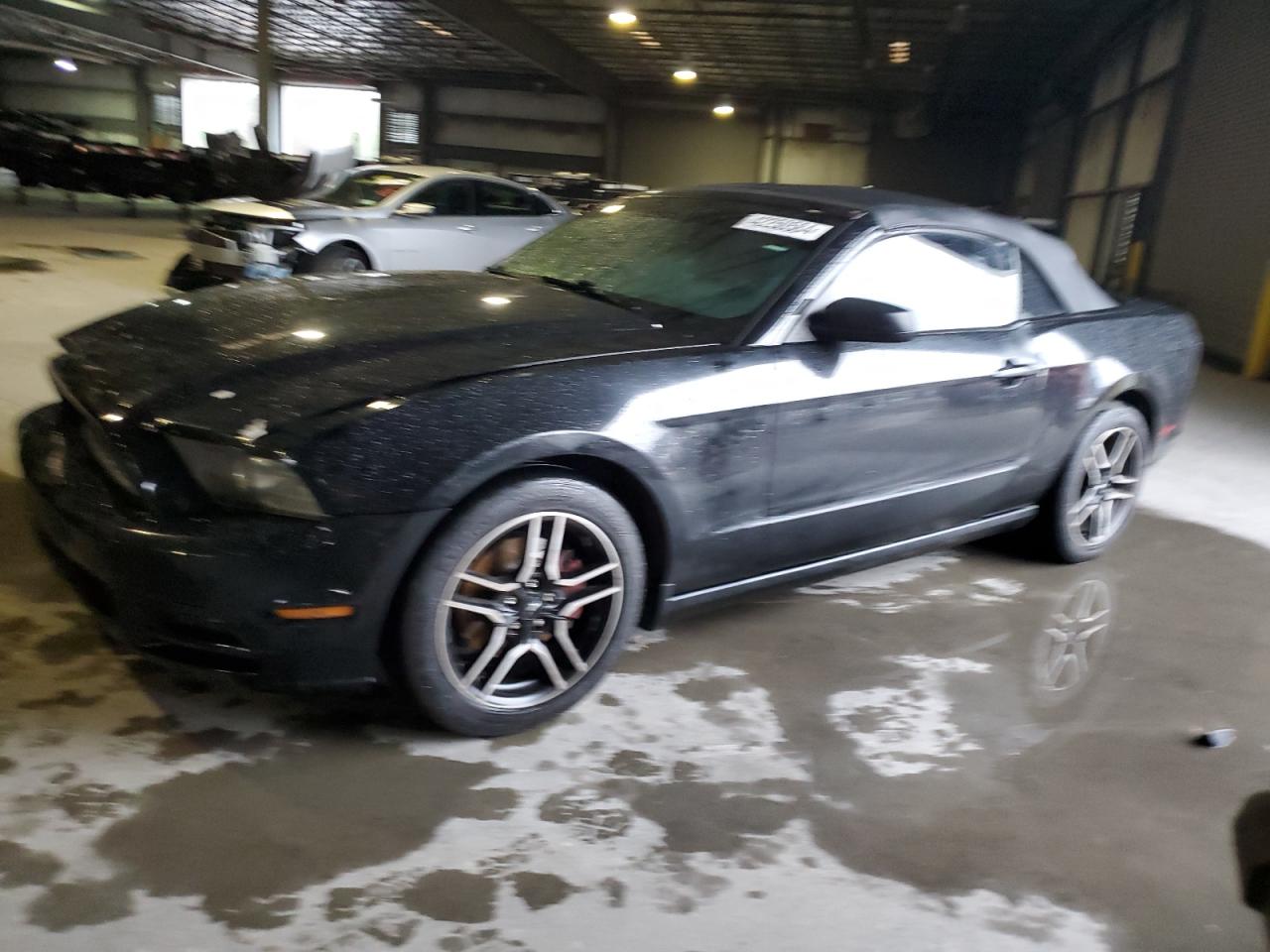 2014 Ford Mustang vin: 1ZVBP8EM9E5205516