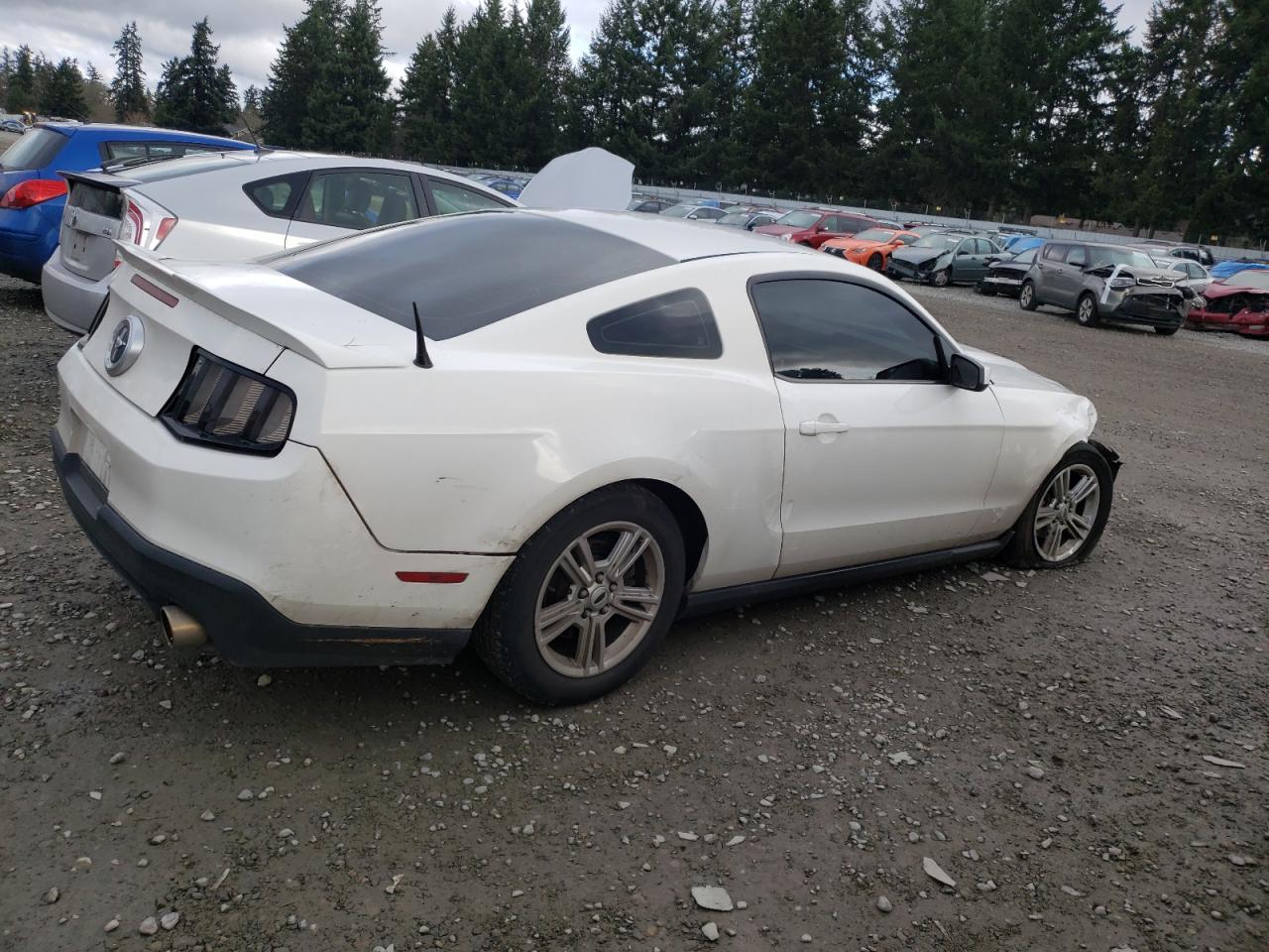 1ZVBP8AN5A5146862 2010 Ford Mustang