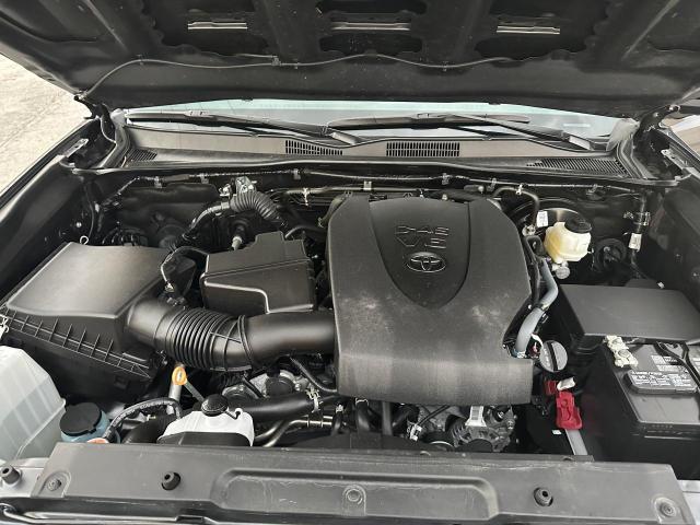 2023 TOYOTA TACOMA DOU 3TYCZ5AN9PT134219