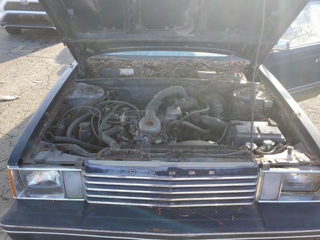 1981 Dodge Aries Custom VIN: 1B3BK49D9BF117786 Lot: 43435214