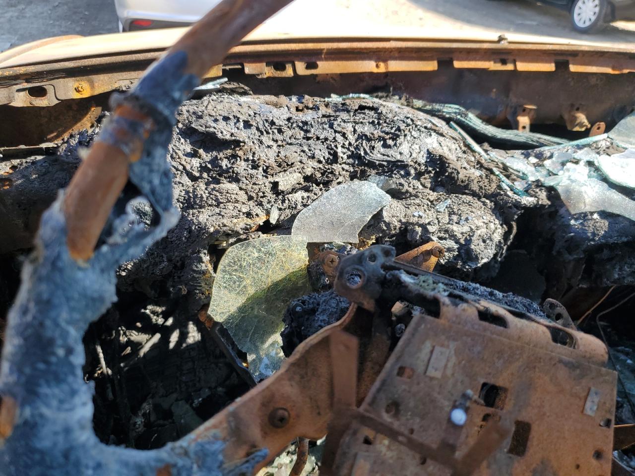 4TARN01P5PZ152684 1993 Toyota Pickup 1/2 Ton Short Wheelbase Dx