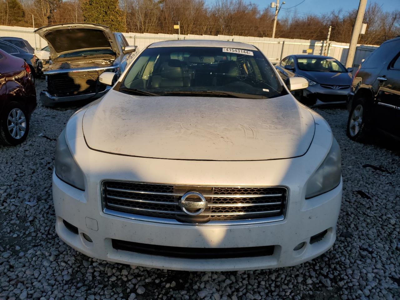 Lot #2524292048 2011 NISSAN MAXIMA S